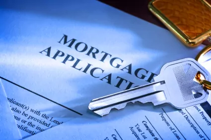 Loan and Mortgage Surveys
